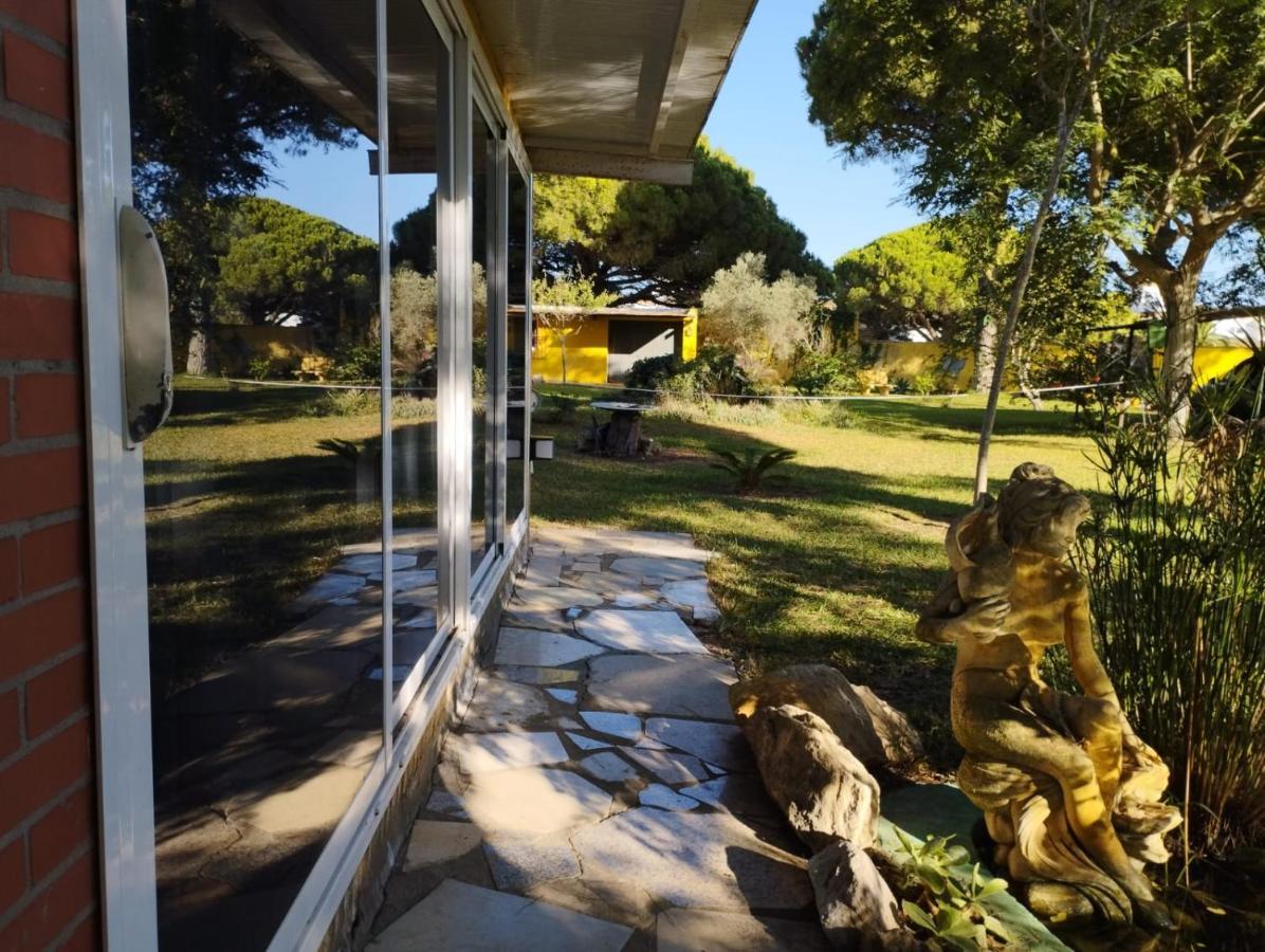 Jacaranda Lägenhet Cádiz Exteriör bild