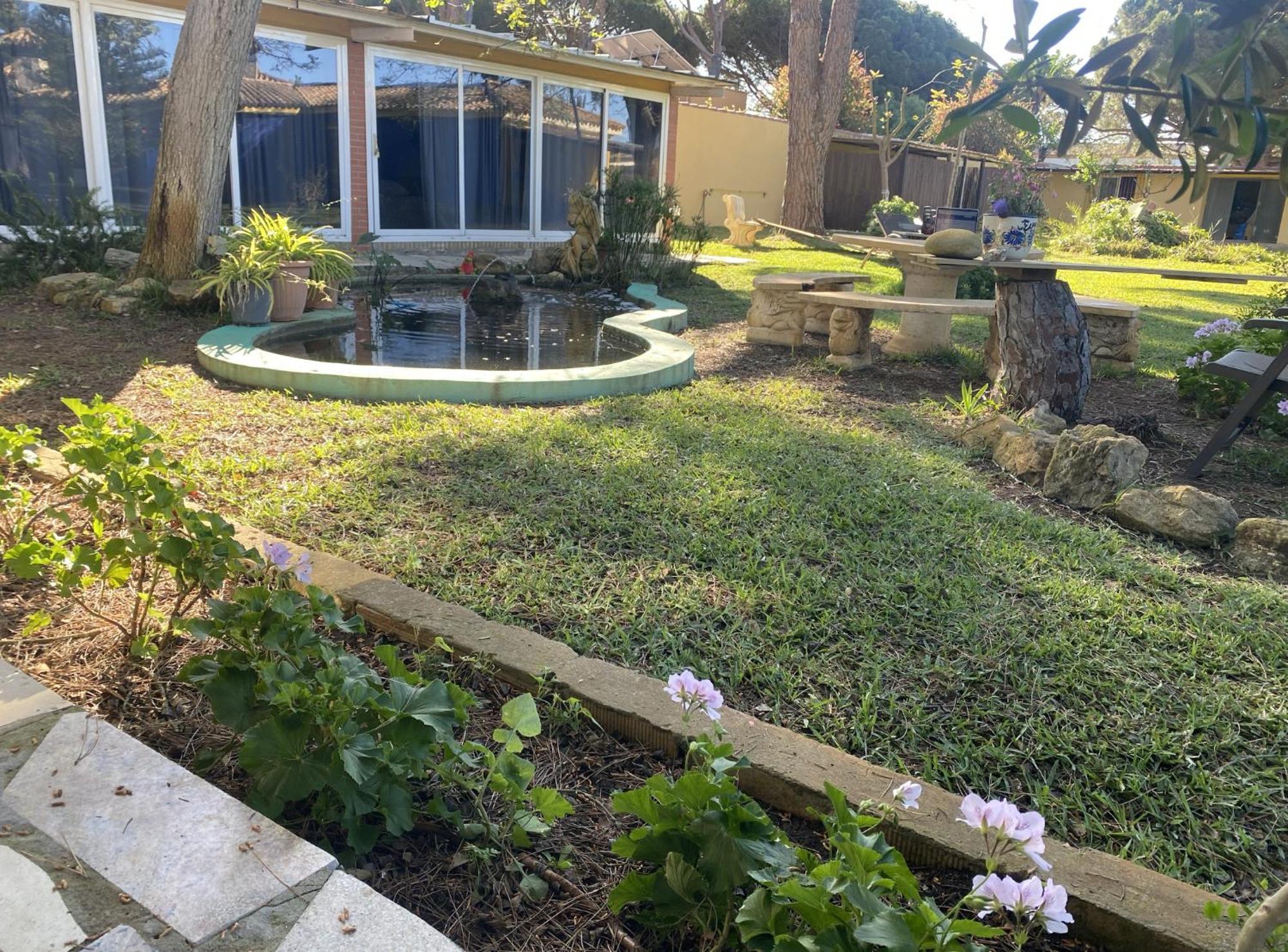 Jacaranda Lägenhet Cádiz Exteriör bild